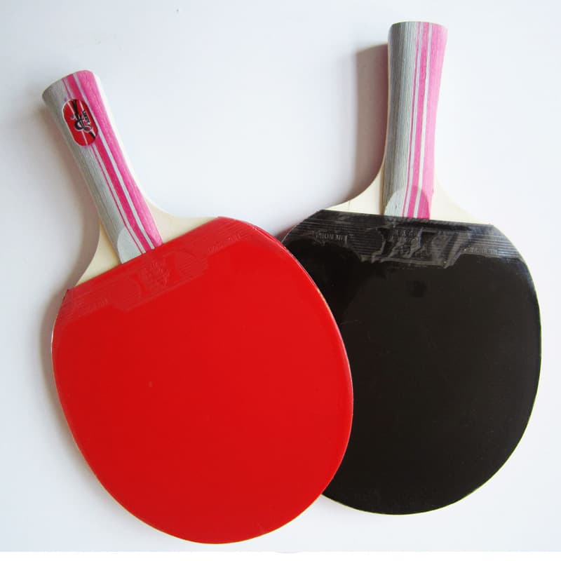 AOLIKES 9841 - Raket Tenis Meja - Bat Bet Cover Tenis Meja